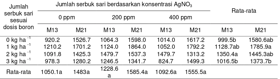 Tabel 4. Jumlah serbuk sari per antera tanaman M13 dan M21 berdasarkan perlakuan dosis boron dan konsentrasi AgNO3 