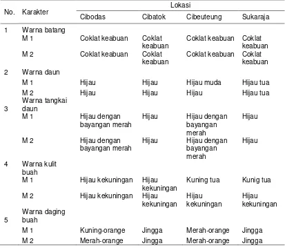 Tabel 4. Rekapitulasi hasil pengamatan karakter kualitatif pepaya di empat lokasi di wilayah Bogor pada dua musim 