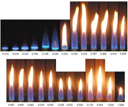 Fig. 3. Jatropha curcas oil flame isolated from ambient air. 