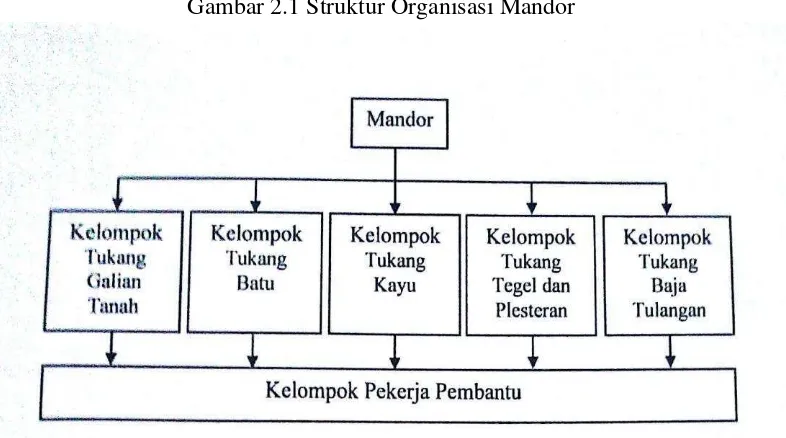 Gambar 2.1 Struktur Organisasi Mandor 