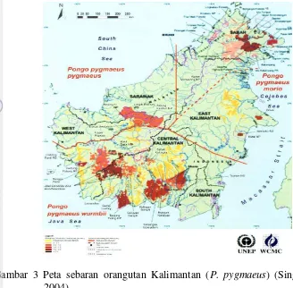 Gambar 3 Peta sebaran orangutan Kalimantan (P. pygmaeus) (Singleton et al. 2004) 