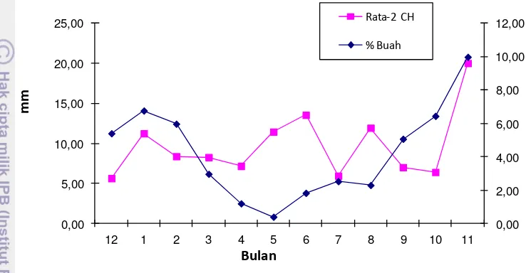Tabel 3 Nama dan klasifikasi orangutan berdasarkan tahapan perkembangan 