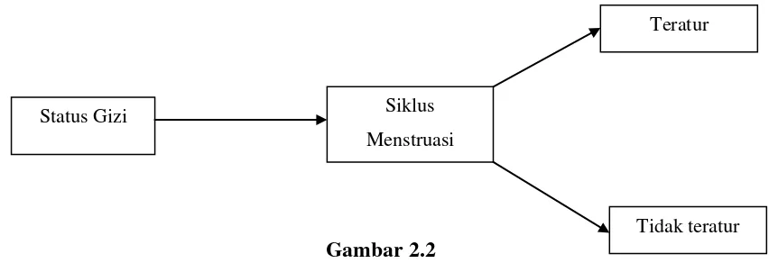     Gambar 2.2         Penelitian ini untuk mengukur status gizi terhadap siklus menstruasi 
