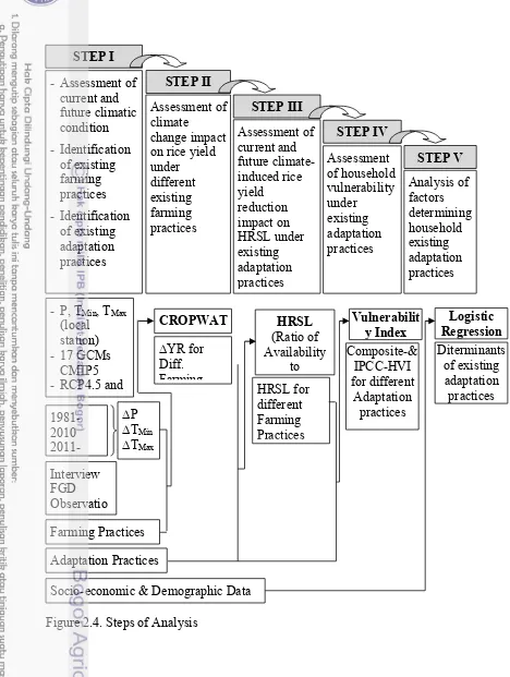Figure 2.4. Steps of Analysis 