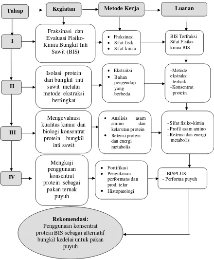 Gambar 1  Kerangka penelitian isolasi  protein bungkil inti sawit dan kajian nilai biologinya sebagai alternatif bungkil kedelai pada puyuh 