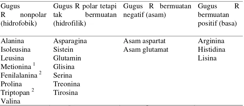Tabel  7  Klasifikasi  asam amino berdasarkan  polaritas relatif gugus R-nya 