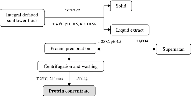 Gambar 11  Diagram alur  pembuatan konsentrat protein  tepung kembang                      matahari  (Ordonez et al