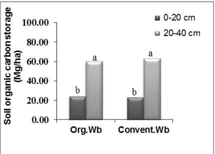 Fig. 2. Soil organic carbon storage at 0-20 cm and 