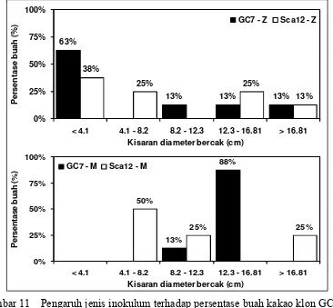 Gambar 11 Pengaruh jenis inokulum terhadap persentase buah kakao klon GC 7 dan Sca 12  yang terinfeksi P