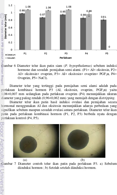 Gambar 7 Diameter contoh telur ikan patin pada perlakuan P3. a) Sebelum 