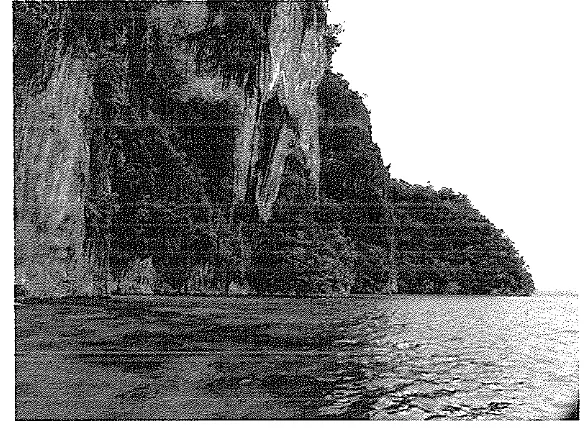 Gambar 17. Pantai Tebing Batu di Desa Sawai 