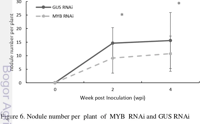 Figure 5. Nodule number per  plant  of  MYB  OX and GUS OX 