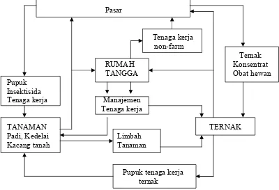 Gambar 1   Pola usahatani tanaman-ternak di kabupaten Sleman Yogyakarta 