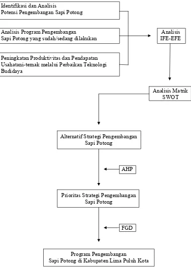 Gambar 4   Tahapan sistematis kegiatan penelitian 