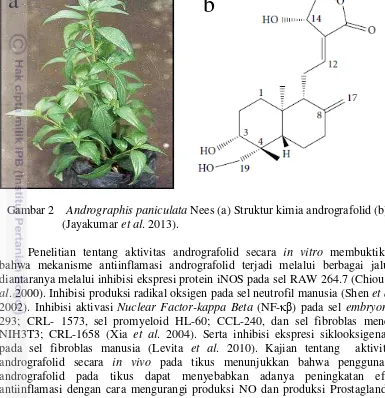 Gambar 2    Andrographis paniculata Nees (a) Struktur kimia andrografolid (b) 