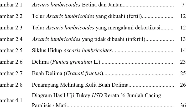 Gambar 2.1 Ascaris lumbricoides Betina dan Jantan.................................... 