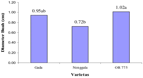 Gambar 6. Pengaruh Varietas terhadap Diameter Buah 