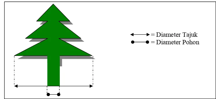 Gambar  6.  Sketsa pengukuran diameter pohon dan diameter tajuk 