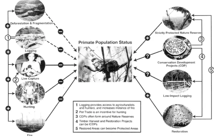 Gambar 4.  Ancaman Utama Terhadap Populasi Primata dan 