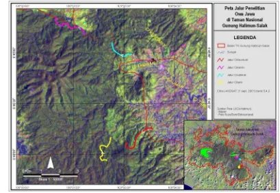 Gambar 7. Lokasi dan Jalur Penelitian di TN. Gunung Halimun-Salak 