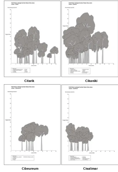 Gambar 15.  Profil Pohon Pakan di Hutan Primer Citarik dan Cikaniki dan di 