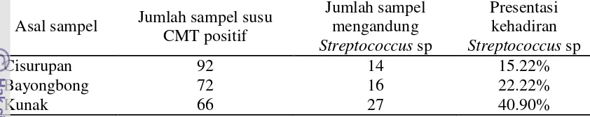 Tabel 3  Presentasi kehadiran Streptococcus sp pada susu dengan uji Katalase negatif 