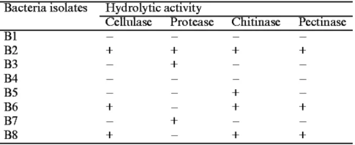 Table 1. Presence (+) or absence (−) of cellulolytic, proteolytic, chitinolytic and pectinolytic activity in different strains of bacteria isolated from the mycorrhizosphere of Sorghum bicolor 