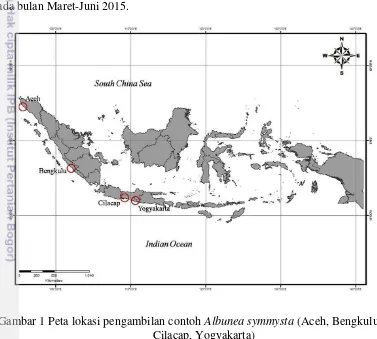 Gambar 1 Peta lokasi pengambilan contoh Albunea symmysta (Aceh, Bengkulu, 