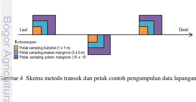 Gambar 4  Skema metode transek dan petak contoh pengumpulan data lapangan 