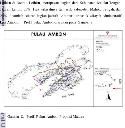 Gambar  8.   Profil Pulau  Ambon, Propinsi Maluku                     