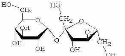 Gambar 1. Struktur sukrosa C12H22O11 