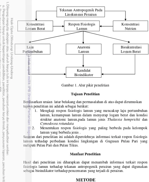 Gambar 1. Alur pikir penelitian 