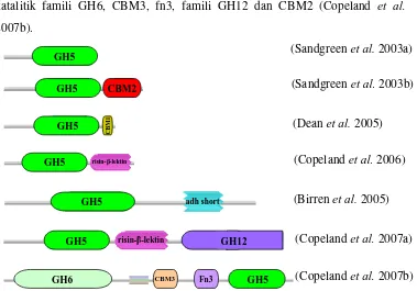 Gambar 3 Arsitektur domain GH famili 12 