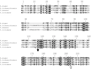 Gambar 17 Kesejajaran urutan asam amino empat enzim GH 12. Posisi residu nukleofil dan donor proton ditunjukkan dengan tanda anak panah hitam dan putih secara berturut-turut
