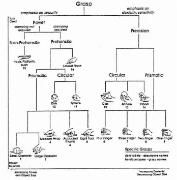 Figure 2.1:  Taxonomy of human grasps by Cutkosky and Wright’s, (1986) 