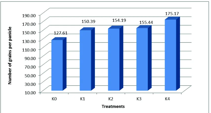 Figure 3. Average of weight of grains per clump in each treatment  