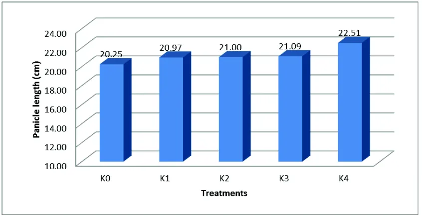 Figure 1. Average of Panicle Length in each treatment 