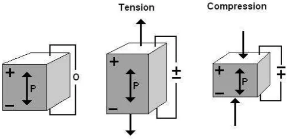 Figure 2.1 Direct piezoelectric effects 