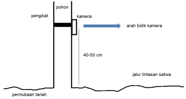 Gambar 5.2. Contoh posisi kamera perangkap 