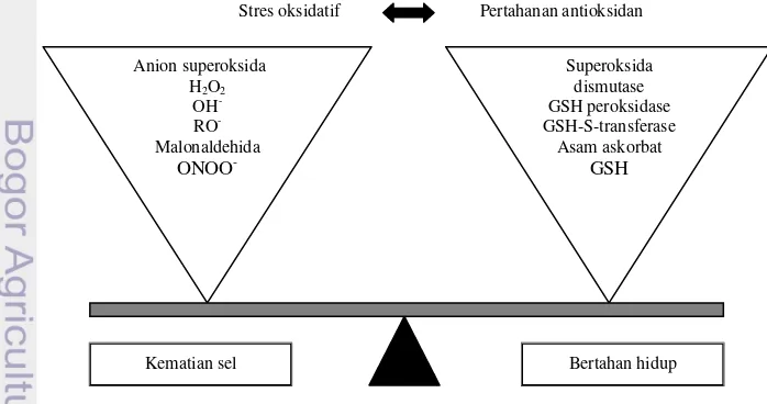 Gambar 5  Keseimbangan pembentukan spesies oksigen reaktif dan sistem  