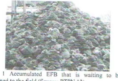 Fig. properties of EFB fiber to make it suitable and 