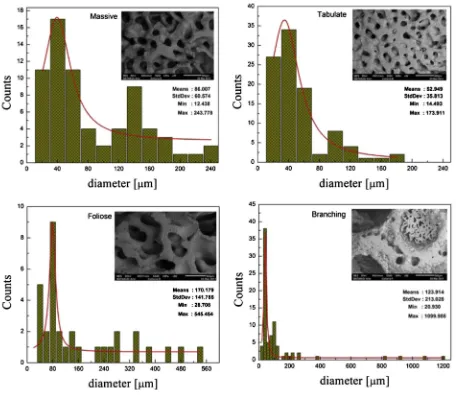 Fig. 4. SEM photograph and pore diameter distribution of biomaterial structure.