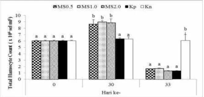 Gambar 1 Total hemocyte count (THC) udang vaname selama penelitian denganperlakuan pemberian mikrokapsul sinbiotik (MS) dosis 0,5% (MS0.5),1% (MS1.0), dan 2% (MS2.0) melalui pakan, kontrol positif (Kp) dankontrol negatif (Kn).Hurufsuperscriptberbeda pada periodepengamatan yang sama menunjukkan perbedaan yang signifikan(p<0.05) antar perlakuan