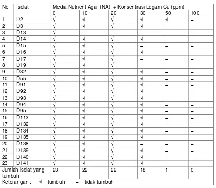 Tabel 1. Hasil seleksi isolat bakteri termofilik pasca erupsi Merapi pada media yang mengandung logam Cu  