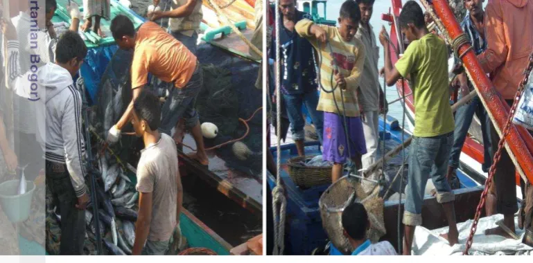 Gambar 2.12 Kegiatan bongkar muat hasil tangkapan yang dilakukan nelayan di 