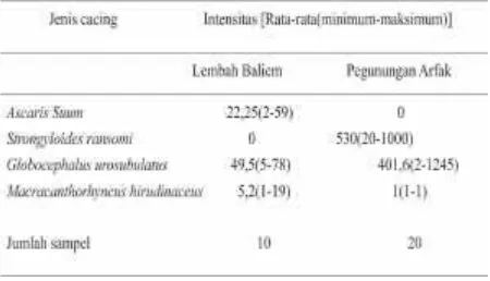 Tabel 3. Intensitas Cacing Nematoda pada Usus