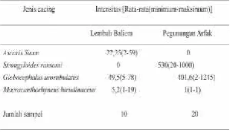 Tabel 3. Intensitas Cacing Nematoda pada Usus