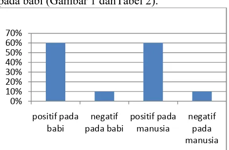 Gambar 1.Infeksi Entamoeba spp pada manusiadan babi di Lembah Baliem danPegunungan Arfak, Papua