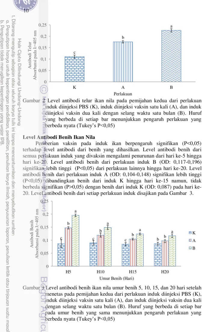 Gambar  2  Level  antibodi  telur  ikan  nila  pada  pemijahan  kedua  dari  perlakuan  induk diinjeksi PBS (K), induk diinjeksi vaksin satu kali (A), dan induk  diinjeksi  vaksin  dua  kali  dengan  selang  waktu  satu  bulan  (B)