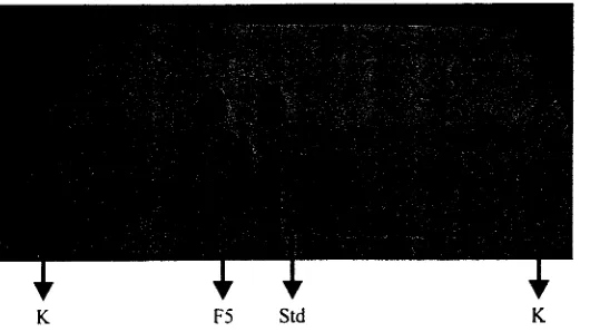 Gambar 3 Kromatogram minyak atsiri kasar pala (K), fraksi-fraksinya (antara lain F5),dan standar miristisin (std).